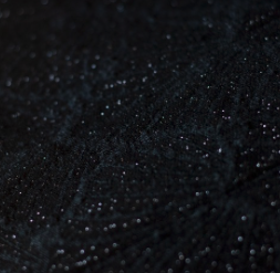 IPOMEE BLACK DIAMOND